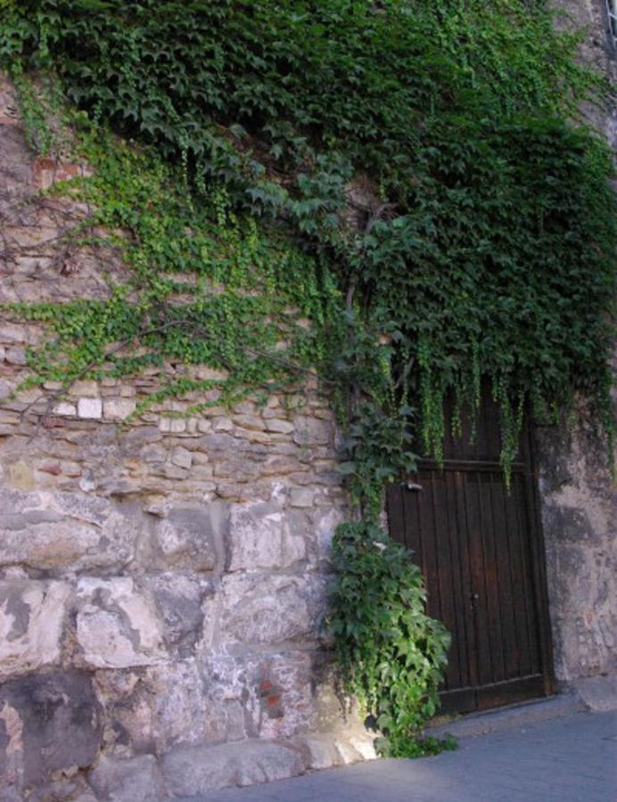 Aufhauser Hof Ratisbona Exterior foto
